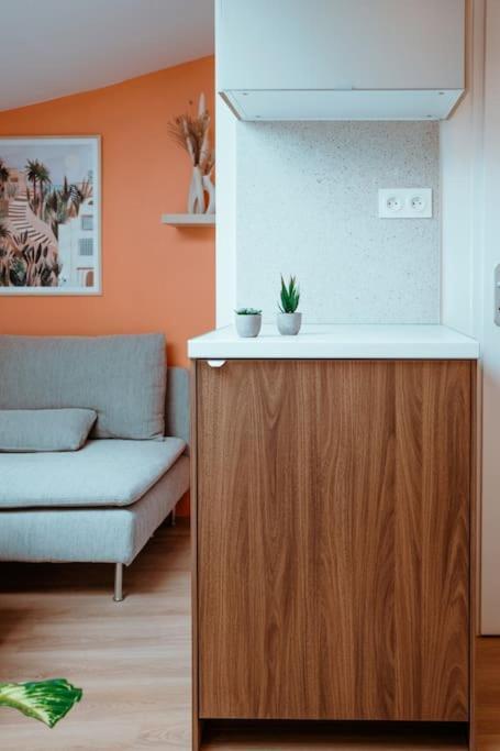 Le Nid Douillet De L'Hypercentre Apartamento Toulouse Exterior foto
