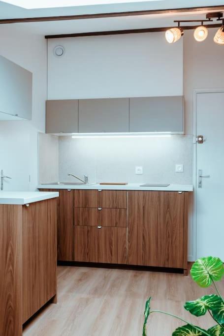 Le Nid Douillet De L'Hypercentre Apartamento Toulouse Exterior foto